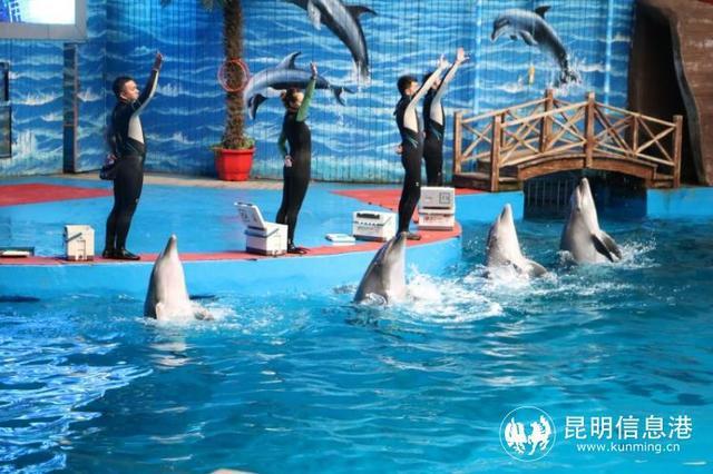 2021年昆明市呈贡区科技活动周在昆明花都海洋世界启动